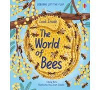LOOK INSIDE THE WORLD OF BEES by EMILY BONE Hardback Self Help Business