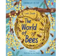 Look Inside the World of Bees Emily Bone Board book Usborne Publi