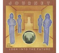 Look Into The Future