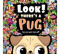 Look! There's a Pug