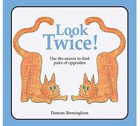 Look Twice: Use the Mirror to Find Pairs of Opposites