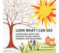 Look What I Can See: A Preschool Book that Teaches Colors, Shapes, Numbers, and Much More!