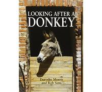 Looking After a Donkey