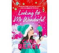 Looking for Mr Wonderful: The perfect laugh-out-loud rom com to make you giggle this Christmas!