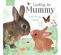 Looking for Mummy : A lift-the-flap storybook