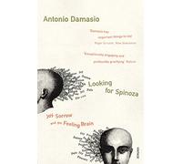 Looking For Spinoza : Joy, Sorrow and the Feeling Brain