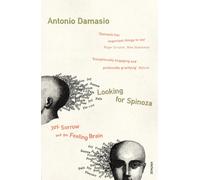 Looking For Spinoza : Joy, Sorrow and the Feeling Brain