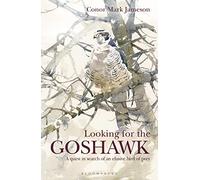 Looking for the Goshawk