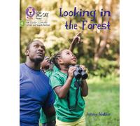 Looking in the Forest : Phase 4 Set 2 Stretch and Challenge