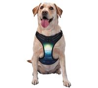 Looking up at The Earth Dog Harness - Equipped with pet Leash Reflective Straps and Quick Release Buckles - Suitable for All Types of Dogs