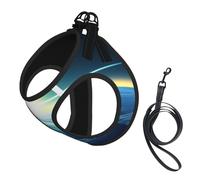 Looking up at The Earth Dog Harness - Equipped with Reflective Straps and Quick Release Buckles - Suitable for Small Cats and Dogs