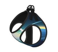 Looking up at The Earth Dog Harness - Equipped with Reflective Straps and Quick Release Buckles - Suitable for Small Cats and Dogs