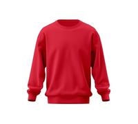 Looks Divine Gift Men’s Sweatshirt Fleece Jumper Crew Neck Long Sleeve Plain Sweater for Men UK (UK, Alpha, XXL, Regular, Regular, Red)