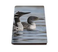 Loon Birds A5 Refillable PU Leather Wirebound Notebook - Loose Leaf Waterproof Lined Paper - Ideal for Personal & Professional Use