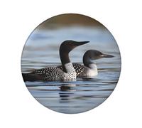 Loon Birds Button Pins 1 Pc, 2.4 Inch Round Button Badges Metal Personalized Picture Photo Pin Buttons Kit For Craft Supplies Christmas Diy Party Projects, 20 PCS, One Size