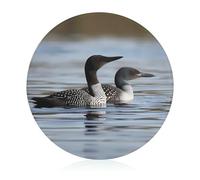 Loon Birds Cutting Board, 8" Sublimation Glass Chopping Board Round Cutting Boards for Kitchen Decor, Anti Slip Heat Resistant Glass Plate for Countertop