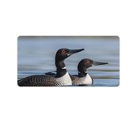 Loon Birds Desk Mat with Stitched Edges, Rubber Mouse Mat for Keyboard Mats Non-Slip Waterproof Desk Pad Office Supplies Large Gaming Mouse Pad for Home Work