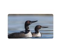Loon Birds Desk Mat with Stitched Edges, Rubber Mouse Mat for Keyboard Mats Non-Slip Waterproof Desk Pad Office Supplies Large Gaming Mouse Pad for Home Work