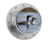 Loon Birds Kitchen Timer 60 Minute Visual Wind Up Timers Indoor Mechanical Timers with Magnetic Base Stainless Steel Timer for Home Cooking Time Management Tool