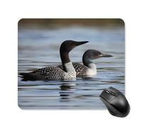 Loon Birds Mouse Pad Cute Square Mouse Mat Leather Non-Slip Rubber Base Mousepad Waterproof Computer Mouses Pad for Laptop Wireless Mouses Keyboard Home Office 25 * 30cm