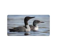 Loon Birds Mouse Pad Gaming Mousepad Desk Mat Smoothing Rubber Mousepad for Fluid Control Ultra-Stable Non-Slip Rubber Base Mouse Pad (24x12 in)