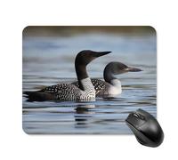 Loon Birds Mouse Pad Square Laptop Mouse Mat Cute Computer Mousepad Keyboard Pad Non-Slip Desk Pads for Gaming Office Work Home 20 * 25cm