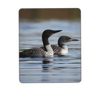 Loon Birds Mouse Pad with Non-Slip Rubber Base 7.9 x 9.5 in Mouse Mat with Stitched Edge Gaming Mousepad for Wireless Mouse Computer Laptop Home Office Desk Pad