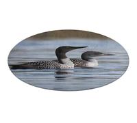 Loon Birds Round Area Rug Non Slip Backing Doormat Water Absorbent Plush Throw Low-Pile Non-Slip Floor Mat Carpet for Living Room Bedroom Entryway Nursery Room 80 * 80cm