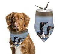 Loon BirdsPet Scarf Dog Bandana for Small Medium Large Exquisite Unique Cat Dogs Kerchief Premium Fabric Cute Triangle Cat Dogs Bibs Scarf