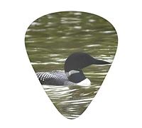 Loon Nature Bird Guitar Plectrums Classical Triangle Bass Acoustic And Electric Guitar Plectrums For Guitarists 12 Pieces