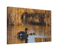 Loon Nature Bird Painting 12x18in Home Decoration Living Room Bedroom Kitchen Bathroom Guest Room Office