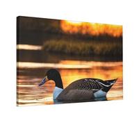 Loon Nature Bird Painting 12x18in Home Decoration Living Room Bedroom Kitchen Bathroom Guest Room Office