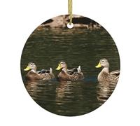 Loon Nature Bird Personalized Custom Round Ceramic Ornaments Christmas Hanging Pendant Xmas Tree Decor for Christmas Holiday Wedding, Party Supplies Keepsake Gifts 1 pc