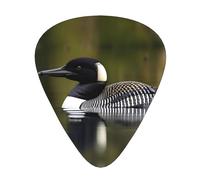 Loon Nature Bird Print 12 Pieces Guitar Picks For Guitars And Ukulele, Unique Guitar Present
