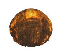 Loon Nature Bird Print Double Layers Shower Cap Bathing Shower Caps Ladies Men Shower Caps Salon Home Use