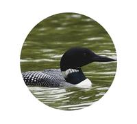 Loon Nature Bird Printed Coasters Set of 4, Tabletop Protection Leather Coasters for Cup Drinks Coffee Pads Beer Bar Mat Gifts, Round Shape