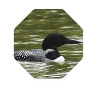 Loon Nature Bird Printed Coasters Set of 4, Tabletop Protection Leather Coasters for Cup Drinks Coffee Pads Beer Bar Mat Gifts, Octagon