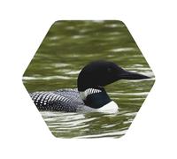 Loon Nature Bird Printed Coasters Set of 4, Tabletop Protection Leather Coasters for Cup Drinks Coffee Pads Beer Bar Mat Gifts, Hexagon