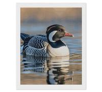 Loon Nature Birds Diamond Art Kits for Adults 16"x20" DIY Diamond Painting Kit for Beginners Gem Art Painting with Round Full Drill Diamonds DIY Paint Paintings for Home Wall Decor Gift