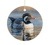 Loon Nature Birds Double-Sided Ceramic Christmas Ornaments - Round Hanging Mini Xmas Tree Decorations, Ideas for Farmers, Rustic Home Decor for Indoor Outdoor Tree Decor