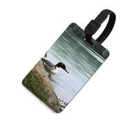 Loon Nature Birds Luggage Tag for Suitcases TSA Approved with Name Id Card Suitcase Tags Identifiers Black Strap Clear Window Personalized Baggage Tag for Cruise Airport Travel Essentials