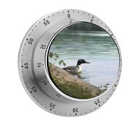 Loon Nature Birds Magnetic Timer Manual Kitchen Timers for Cooking Cute Egg Timers Loud Countdown Clock Mechanical Countdown Timer for Classroom Gym Baking Exercise Study Workout Clock