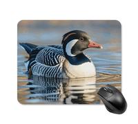 Loon Nature Birds Mouse Pad 20 * 25cm - Non-Slip Rubber Base Mouse Mat Portable Square Desk Mat for Office, Laptop, Travel, Wireless Mice Mats - Waterproof & Durable Design