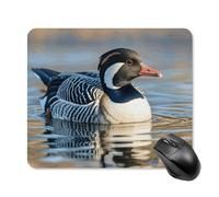 Loon Nature Birds Mouse Pad Square Mouse Mat Non-Slip Rubber Base Mousepad Wireless Mice Mat for Gaming, Office & Home, Waterproof Mouses Mats for Laptop/Desktop 25 * 30cm