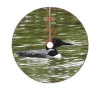 Loon Nature Birds Print Christmas Tree Skirt Festive Decoration For The Perfect Holiday Ambience