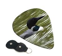 Loon Nature Birds Set Of 6 Guitar Plectrums For Acoustic Guitar, Electric Guitar, Bass, Ukulele - Thin, Medium And Thick.
