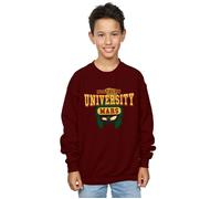 Looney Tunes Boy's Northern University Of Mars Sweatshirt in Burgundy | Size: 9 Years Looney Tunes Burgundy 9 Years