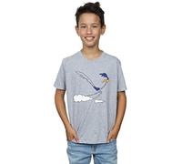Looney Tunes Boys Road Runner Running T-Shirt Sport Grey 5-6 Years