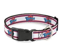 Looney Tunes Pet Collar, Dog Collar Plastic Buckle, Space Jam Tune Squad Logo Stripe White Red Blue, 8.5 to 12 Inches 0.5 Inch Wide