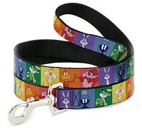 Looney Tunes Pet Leash, Dog Leash, Looney Tunes Character Pose Pride Blocks Multi Color, 4 Feet Long 1.5 Inch Wide